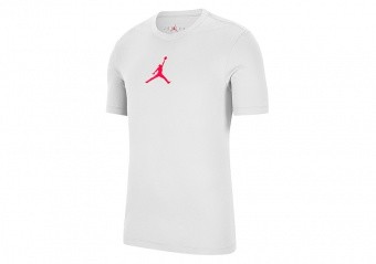 NIKE AIR JORDAN JUMPMAN DRI-FIT CREW TEE WHITE